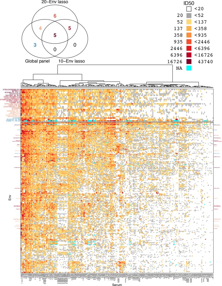 Figure 4—figure supplement 1.