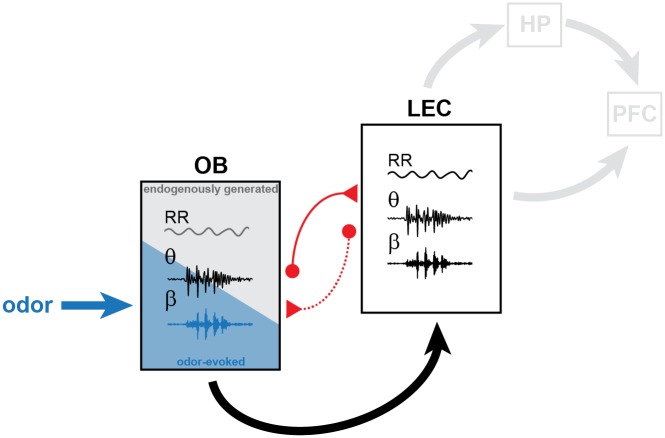 Fig 10