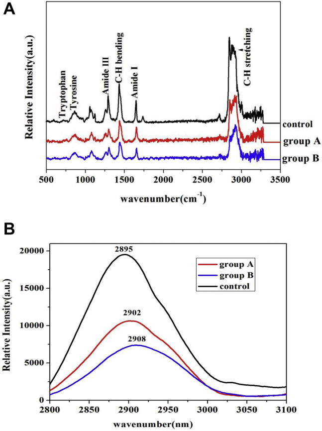 Figure 4