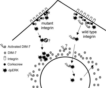 Figure 11.