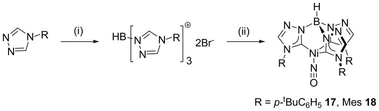 Scheme 4