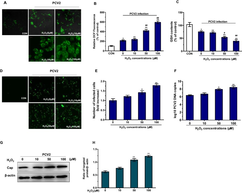 Figure 2