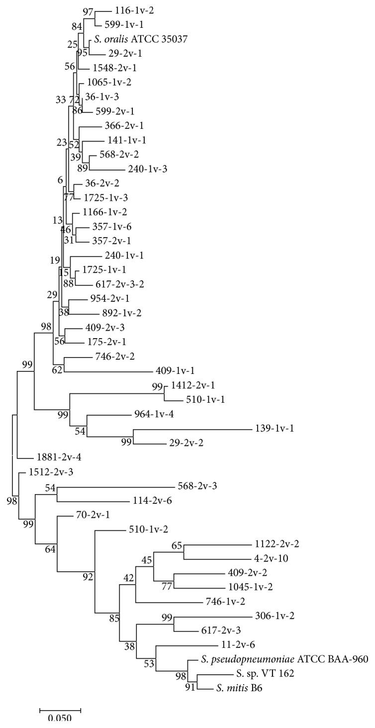 Figure 2