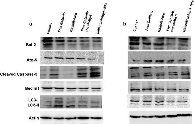 Fig. 7