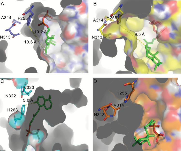 Fig. 7.