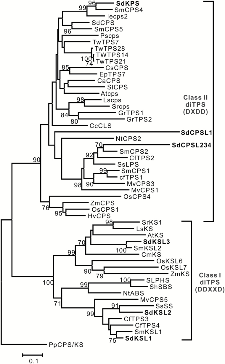 Fig. 4.