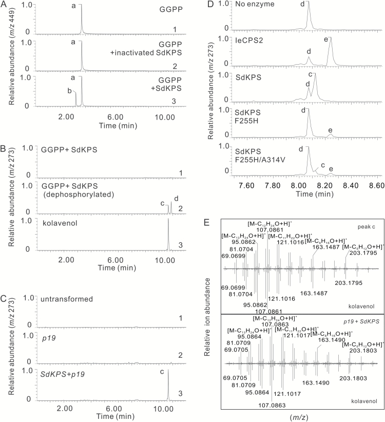 Fig. 5.