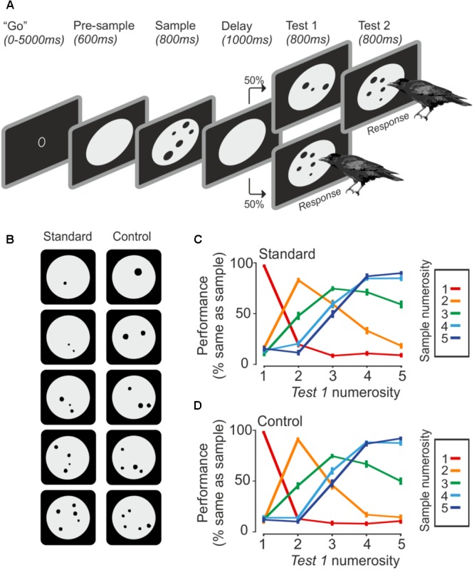 FIGURE 1