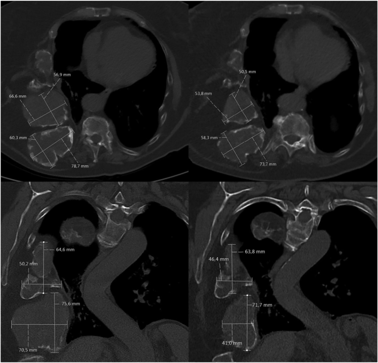 Fig. 7