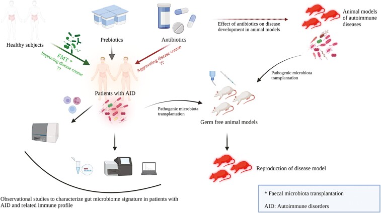 Graphical Abstract