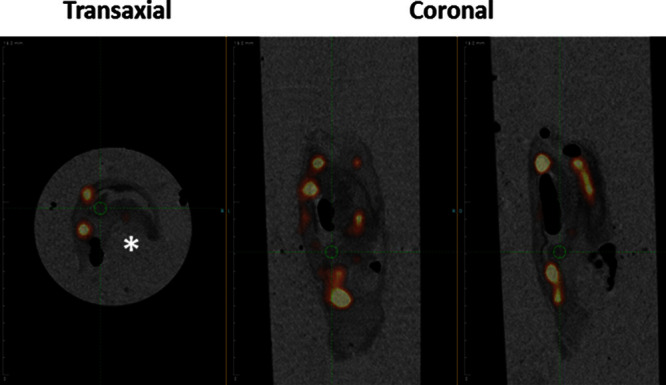 Figure 4.