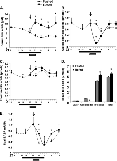 FIGURE 5.