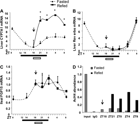 FIGURE 4.