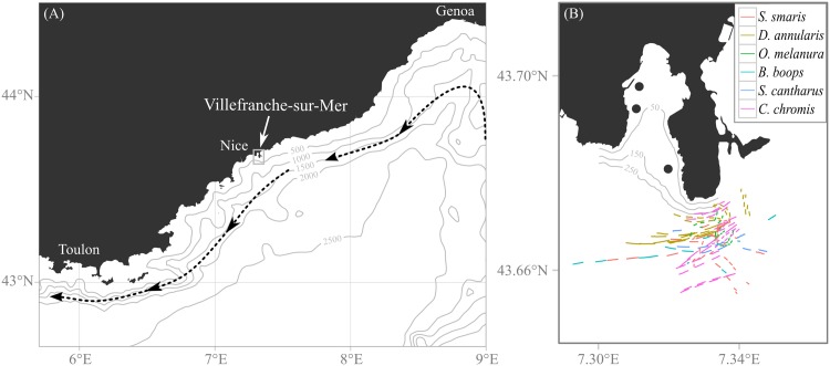 Fig 1