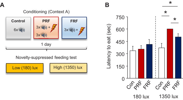 Figure 1—figure supplement 2.