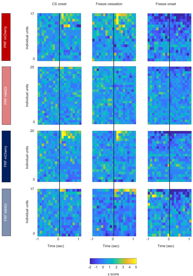 Figure 3—figure supplement 4.