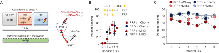 Figure 3—figure supplement 1.