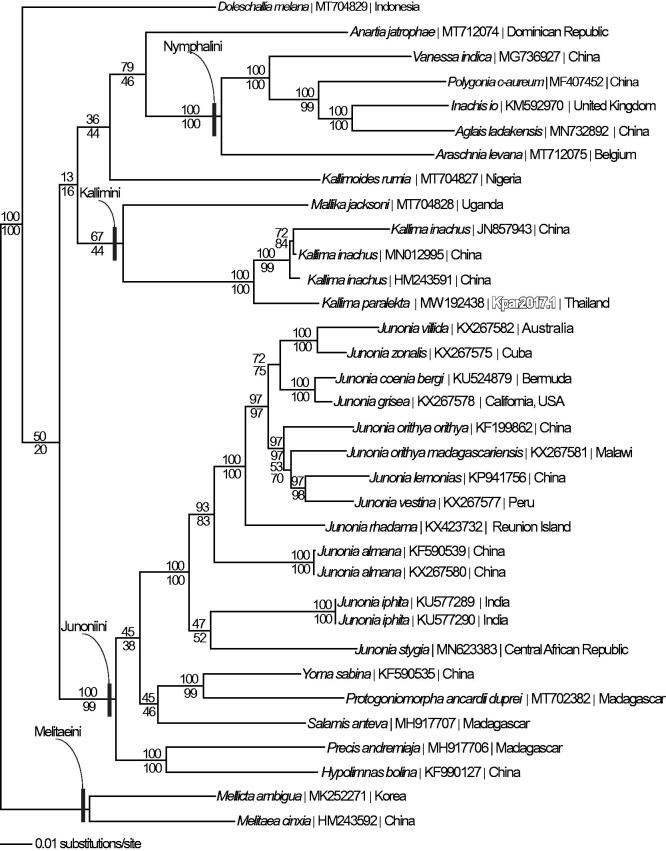 Figure 1.