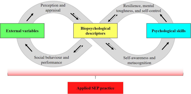 FIGURE 2