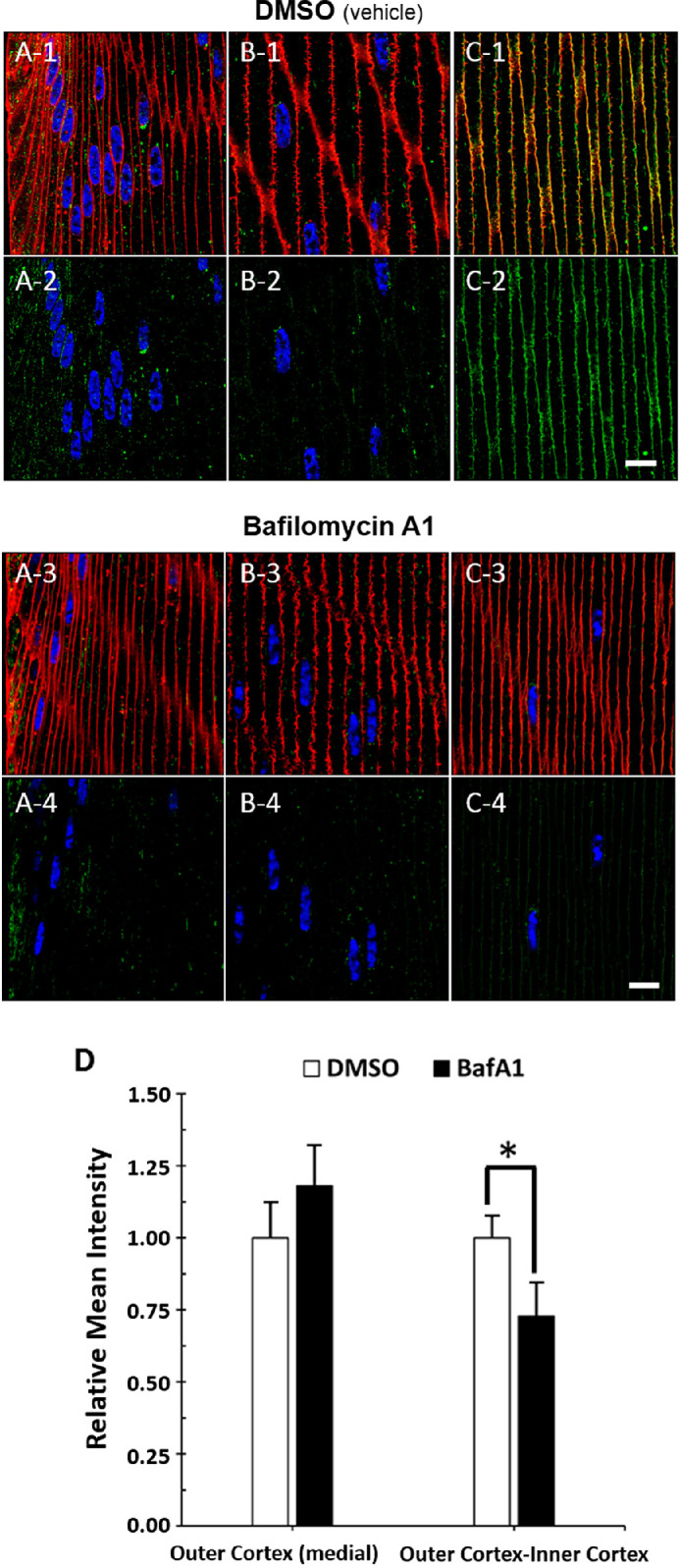 Figure 10.