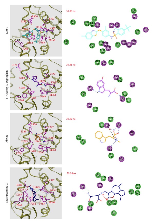 Figure 10