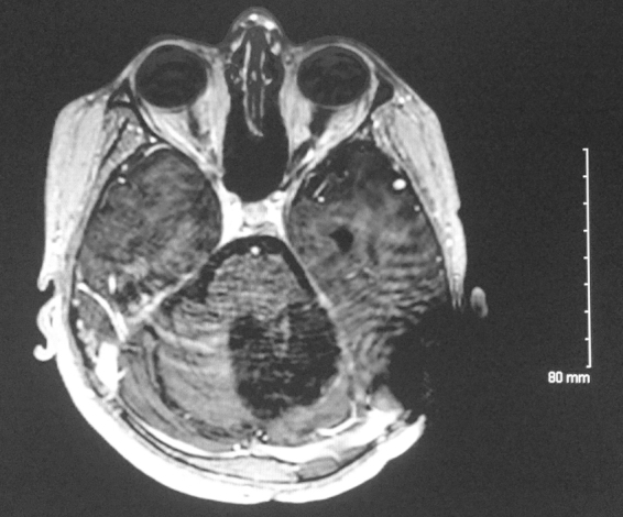 Fig. 8