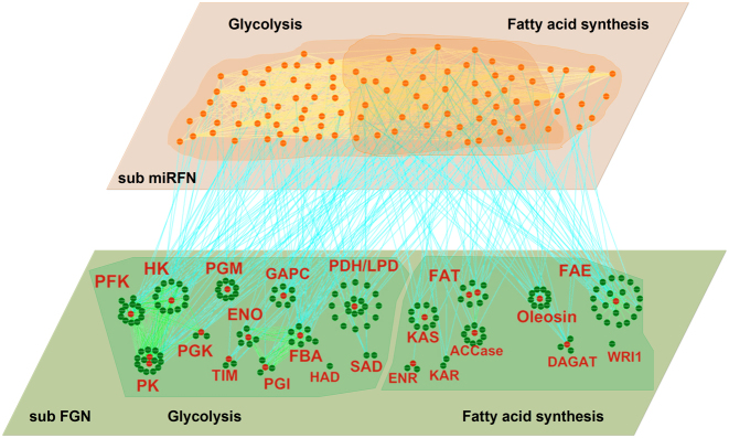 Figure 6.