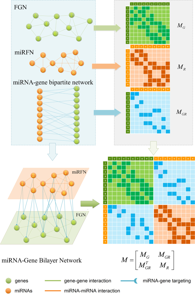 Figure 2.