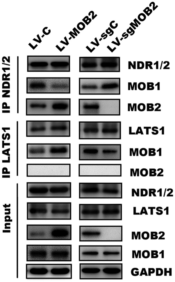 Figure 6.