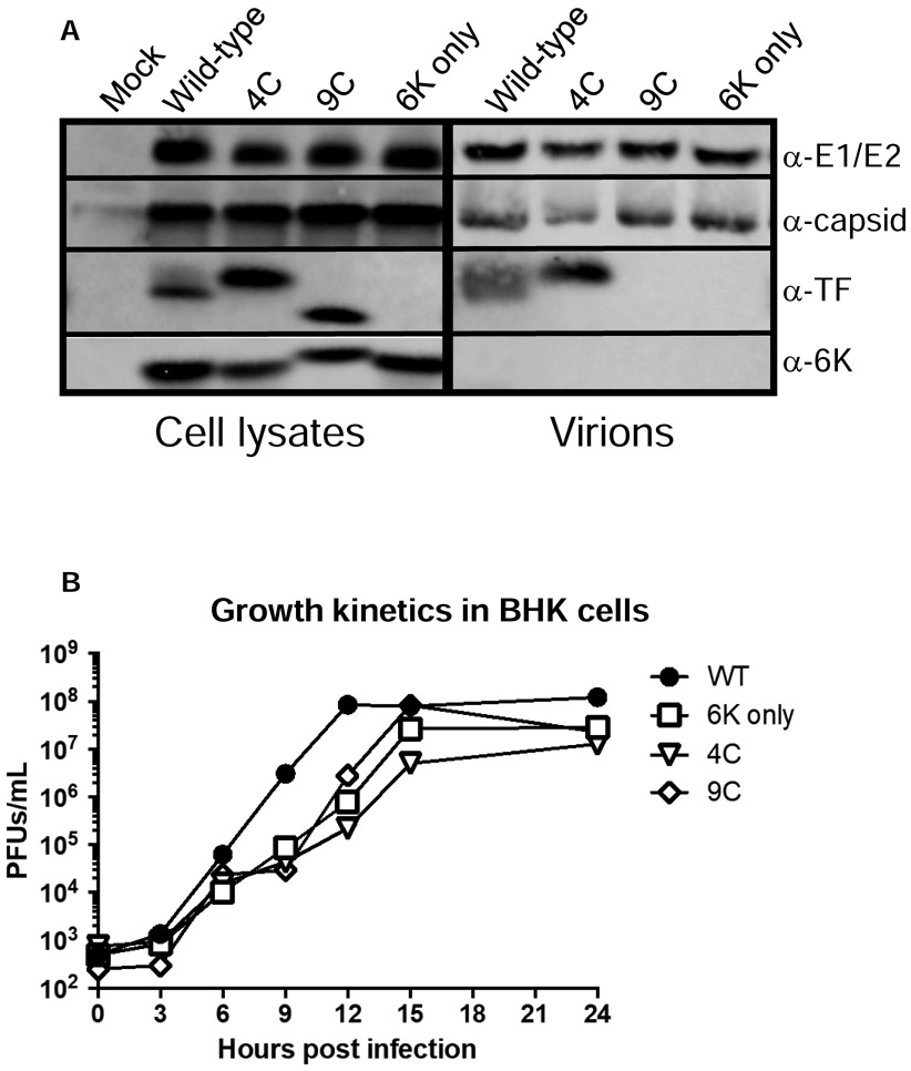 Figure 1: