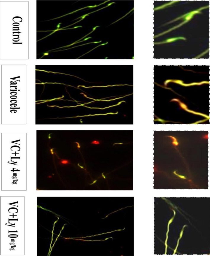 FIGURE 3