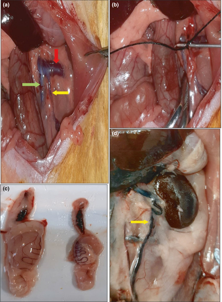 FIGURE 1