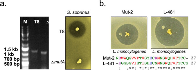 FIG 2