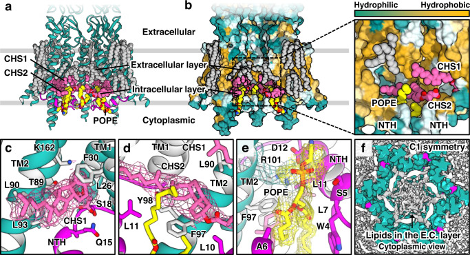 Fig. 3