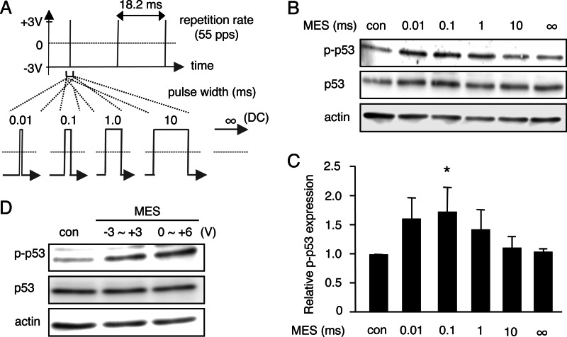 FIGURE 1.