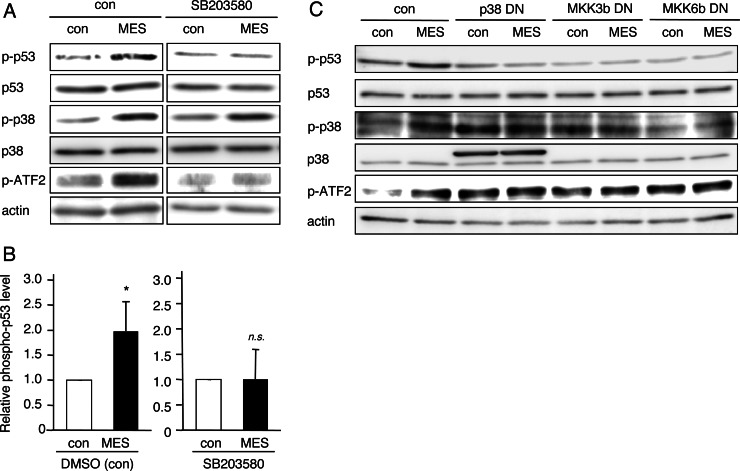 FIGURE 4.