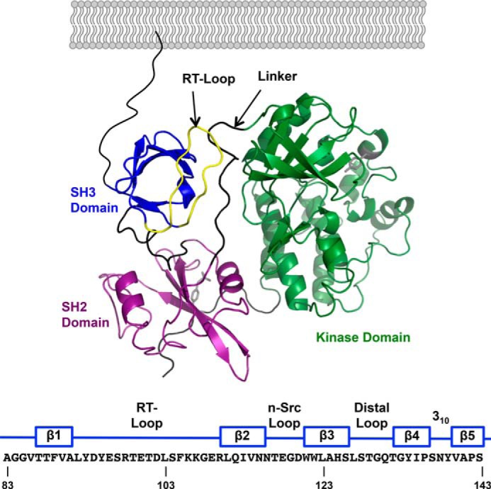 FIGURE 1.