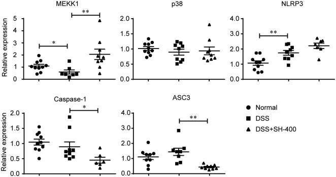 Fig 6