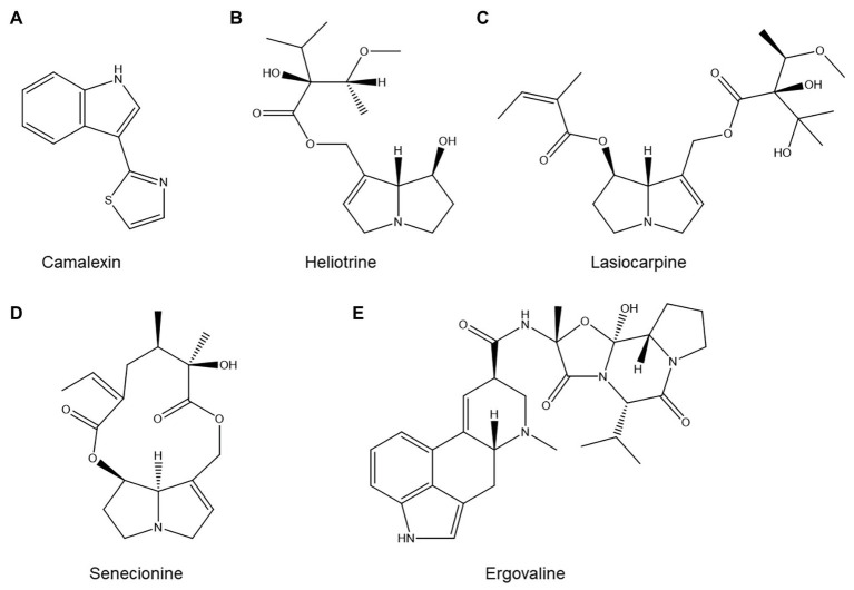 Figure 7