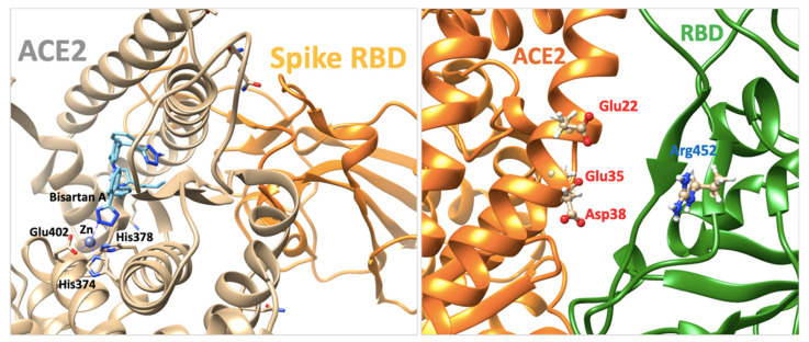 Figure 16