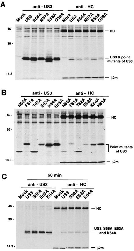 FIG. 7.