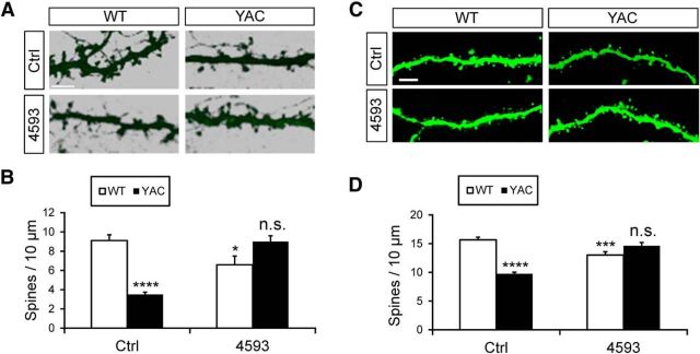 Figure 11.