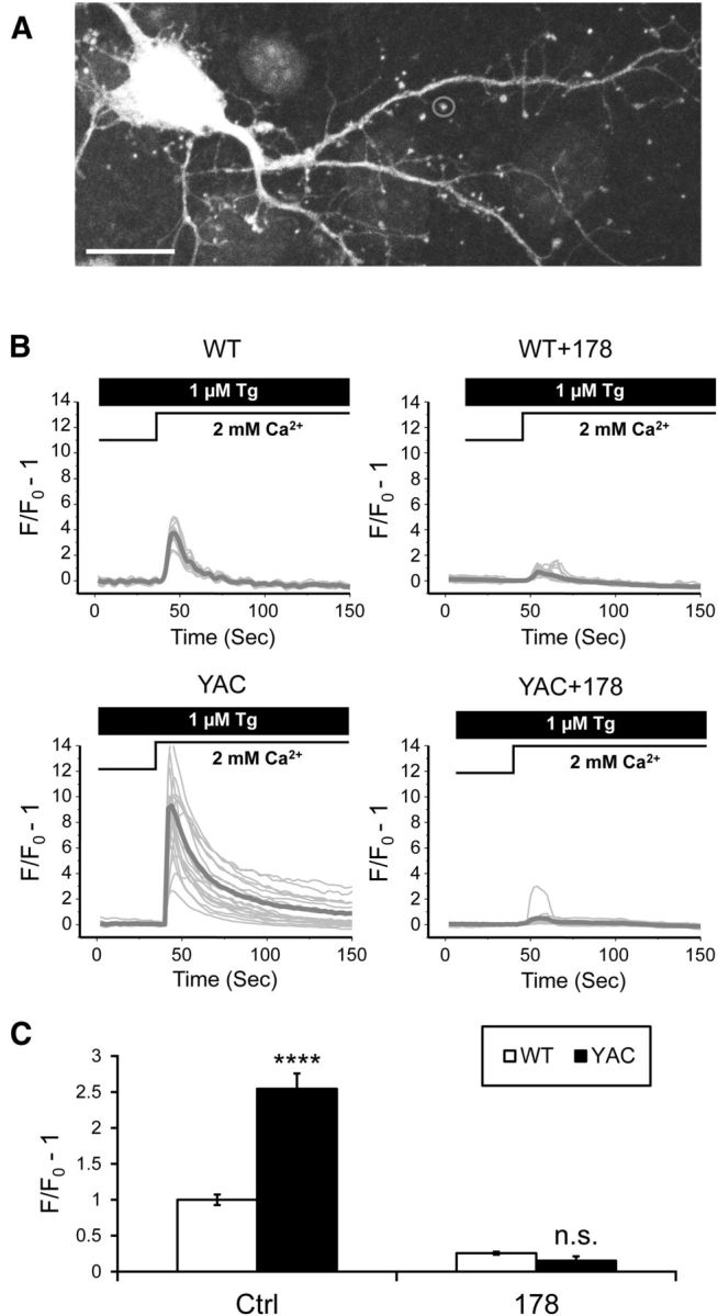 Figure 5.