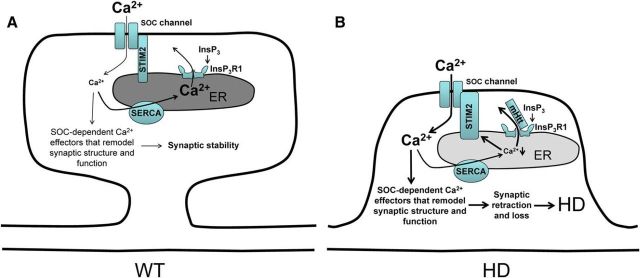 Figure 12.