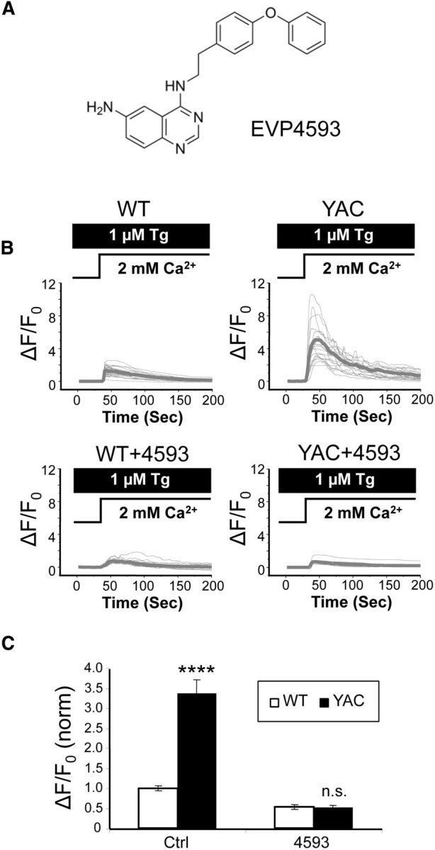 Figure 10.