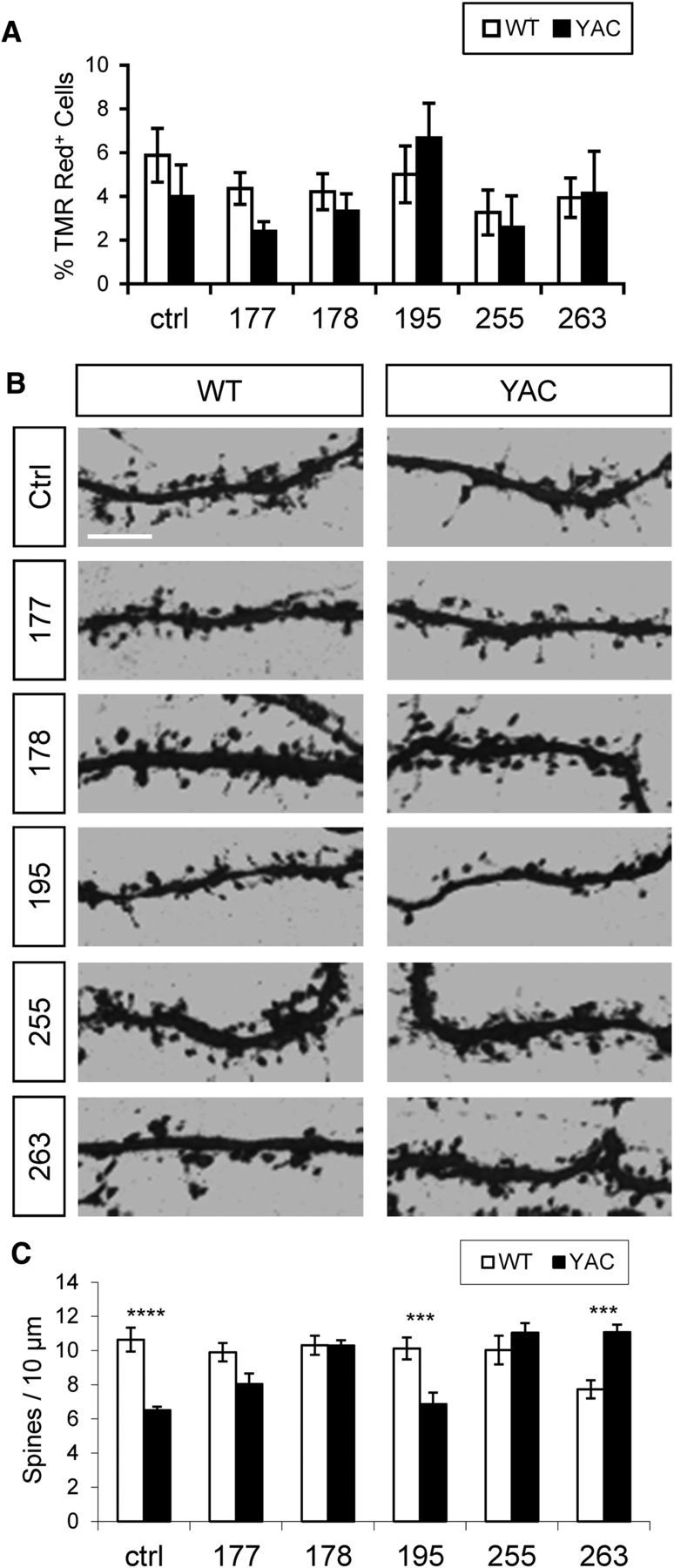 Figure 6.