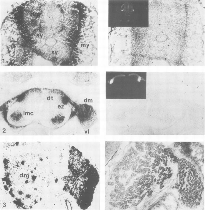 Fig. 1.,Fig. 2., Fig. 3