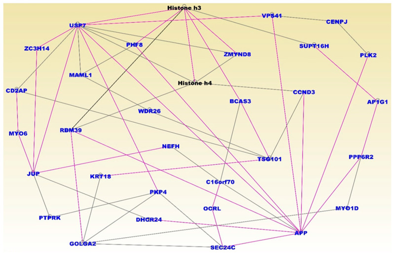 Figure 6