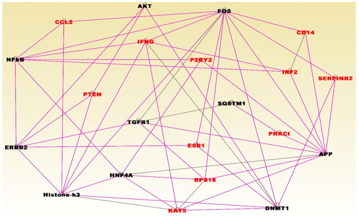 Figure 5