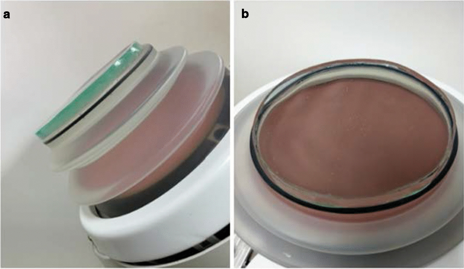 Fig. 1